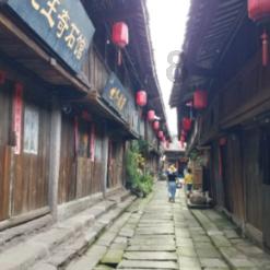 全民烧脑3去广告版